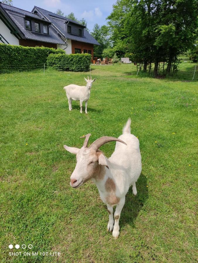 Gasthof Kuck Monschau